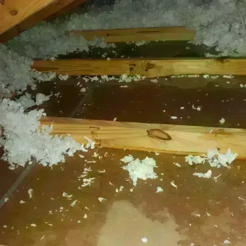 Attic Water Damage in Bakerstown, PA